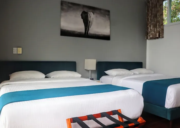Casa Gem Bed and breakfast 4*
